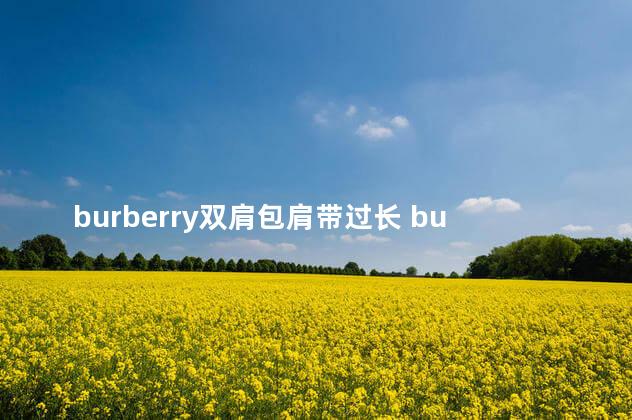 burberry双肩包肩带过长 burberry是轻奢还是高奢